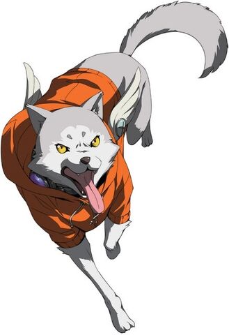 File:Shadowkoromaru.jpg