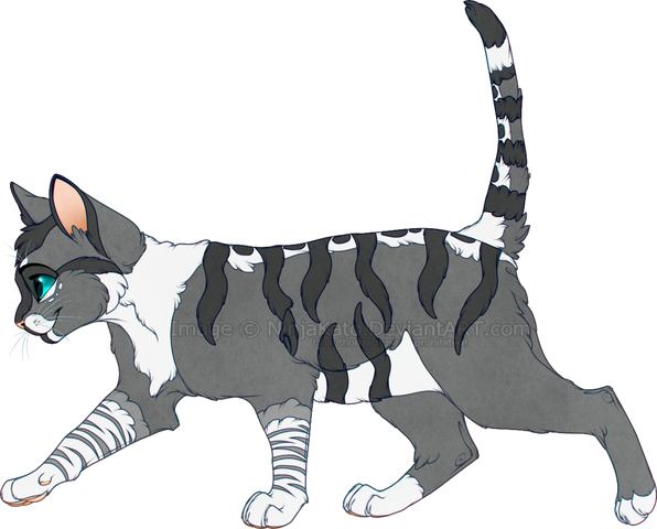 Datei:Buntjunges.png