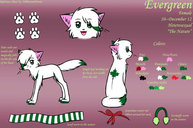 Datei:Evergreen.jpg