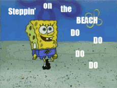 STEPPIN ON TEH BEACH