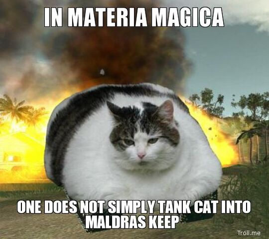 File:In-materia-magica-one-does-not-simply-tank-cat-into-maldras-keep.jpg