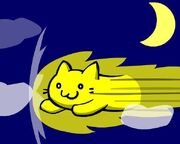 Speedy-cat-on-fire