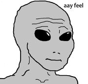 Ayy fel