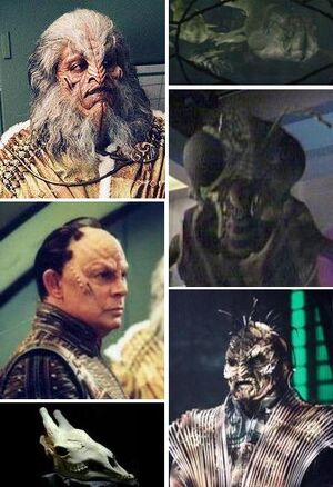 Xindi.jpg