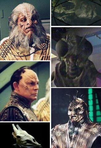 Fișier:Xindi.jpg