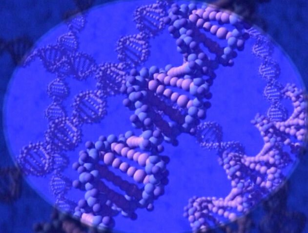 File:DNA.jpg