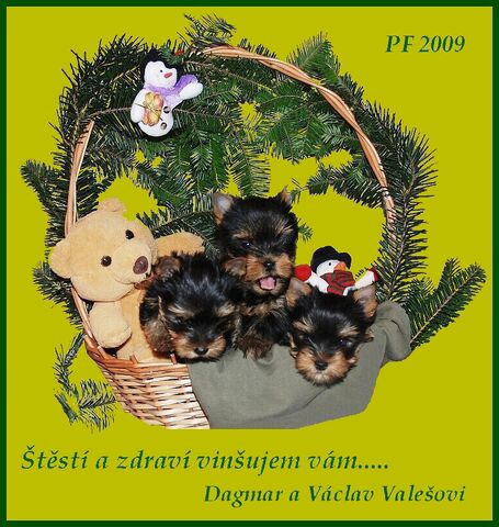 Soubor:PF09.jpg