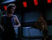 Janeway im Angesicht des Makrovirus