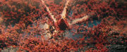 Nibiru village.jpg
