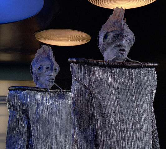 File:Antedians.jpg