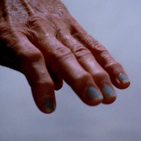 File:Ferengi fingers.jpg