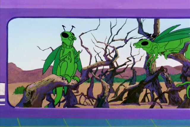 File:Zoo Unknown 3.jpg
