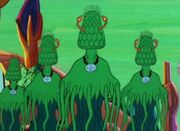 Phylosier.jpg