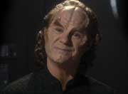 GPhlox3.jpg