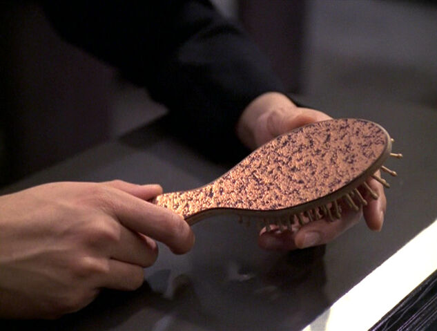 File:Hairbrush.jpg