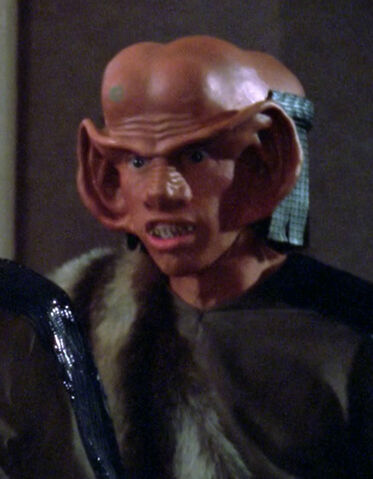 File:Rata.jpg