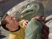 Kirk und der Gorn.jpg
