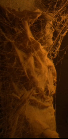 File:T'Karath Sanctuary mummy 5.png