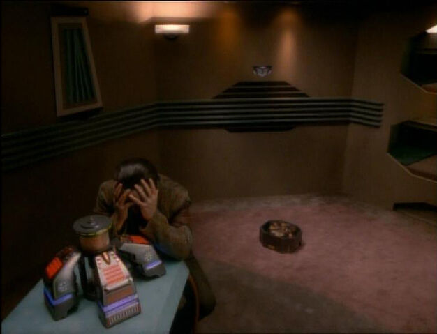 File:Garak's regret.jpg