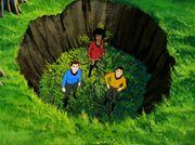 McCoy Uhura und Sulu in der Falle.jpg