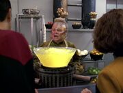 Neelix Sonnenbrand.jpg