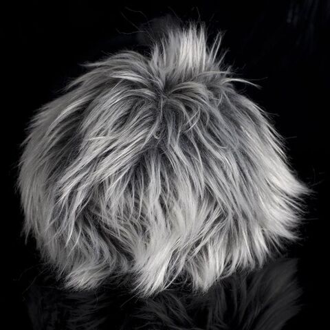 Soubor:Str-0048-star-trek-tos-sada-plysaku-mama-tribble-13-cm 02.jpg