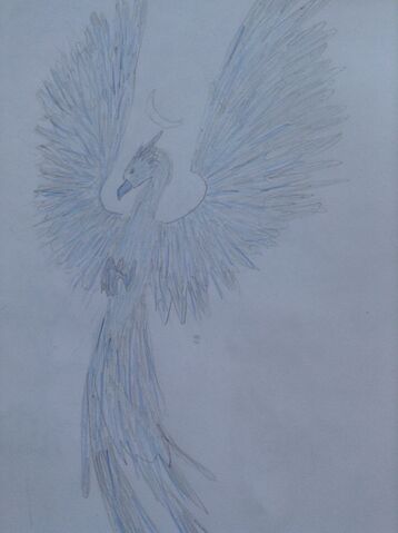 File:ArcticPhoenixCryptic.jpg