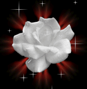 5fc9cfb02b454eaec2677f2ee5d7782b web