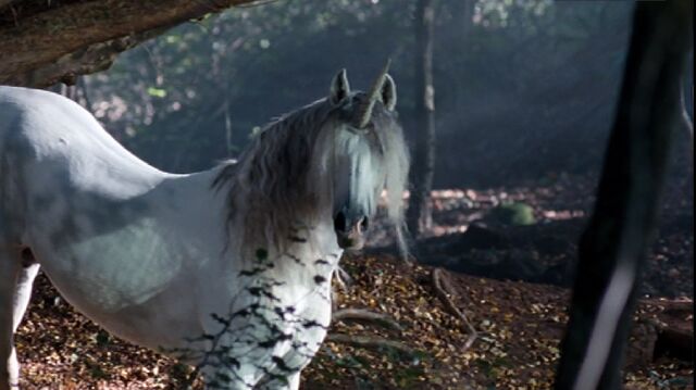 Archivo:Unicorn.jpg