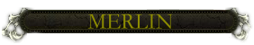 File:Merlin nameplate.png