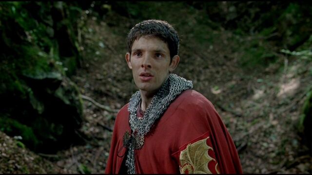 File:Sir Merlin.jpg