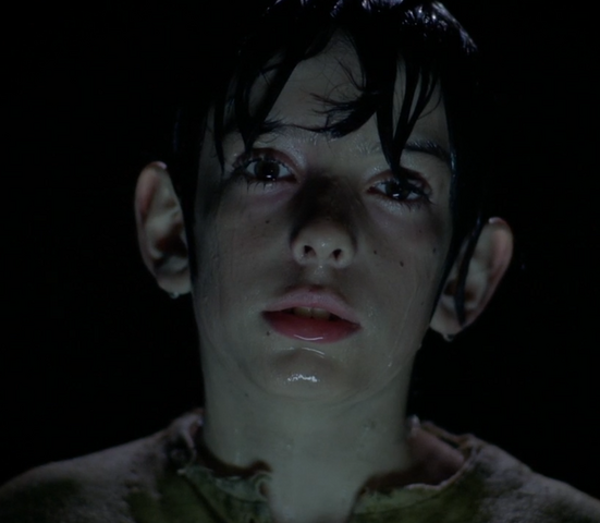 File:Shrine Boy AHOTNA 2.png