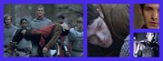 PicMonkey Collage