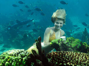 Bella underwater