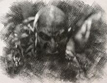 Images (11)