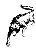 Wolf4