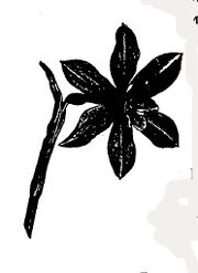 Miretariscrown