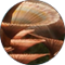 File:MainBanner-Flora.png