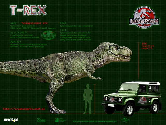 File:T.rex.jpg