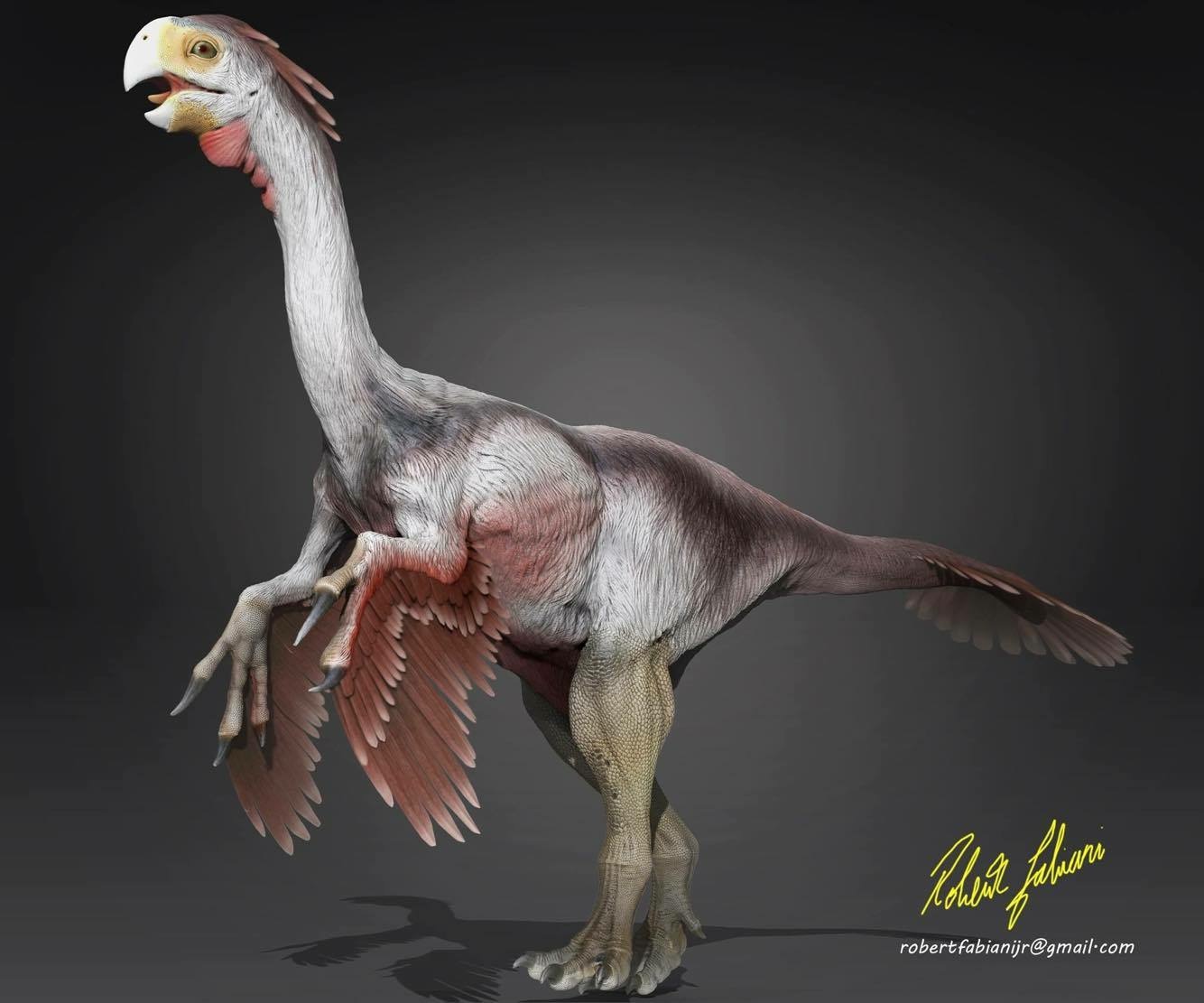 gigantoraptor fossil