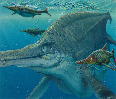 Ichthyosaurs final