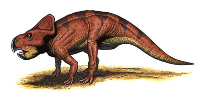 dinosaur like triceratops with two horns