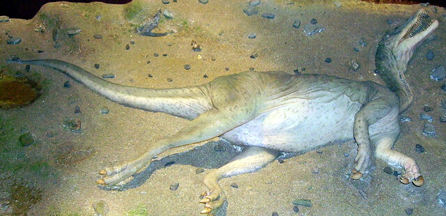 File:Baryonyx model NHM.jpg