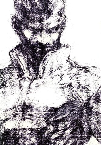 File:MetalGear001.jpg