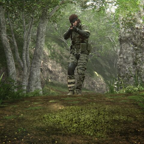 File:Metalgear flow1.jpg