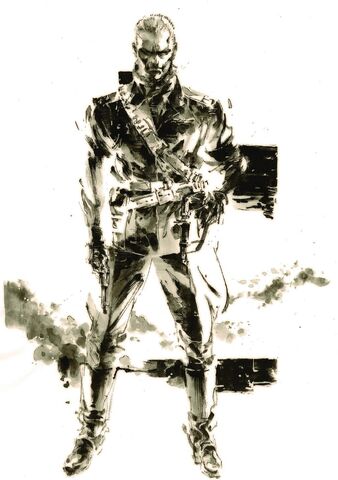 Datei:Ocelot.jpg
