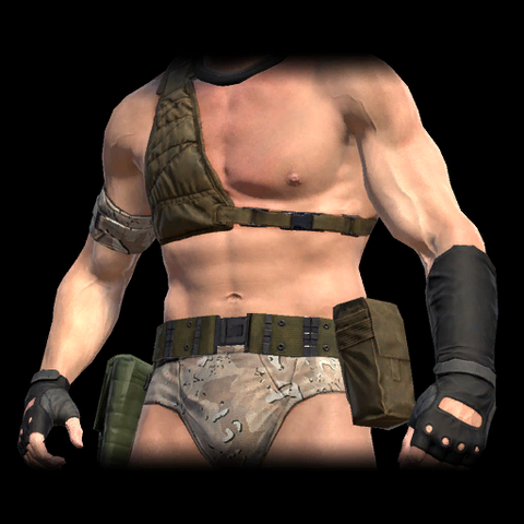 File:DesertFox Swim.png