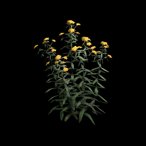 File:VI Tarragon TPP.png