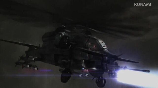 File:Hammerhead.jpg