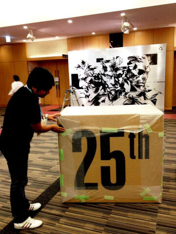 File:MGS-25-Box.jpg